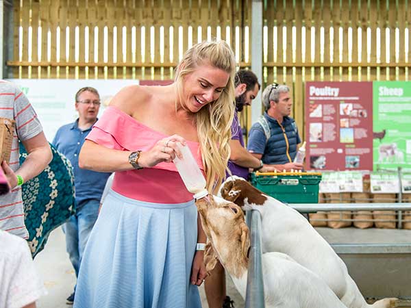 Adam Henson's Farm Park