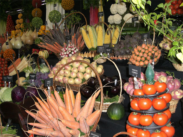 Malvern Autumn Show